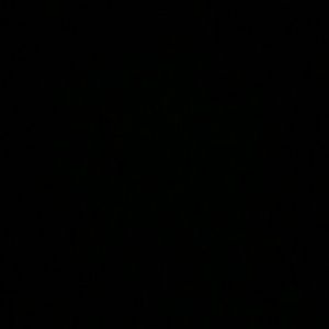 Meet your Posher, Tania